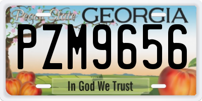 GA license plate PZM9656