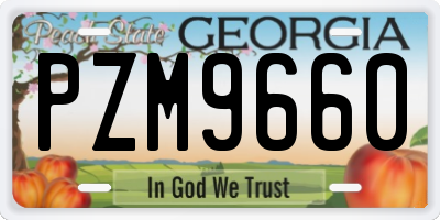GA license plate PZM9660