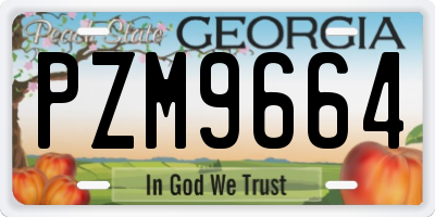 GA license plate PZM9664