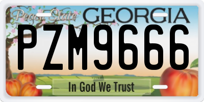 GA license plate PZM9666