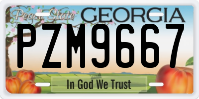 GA license plate PZM9667