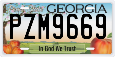 GA license plate PZM9669