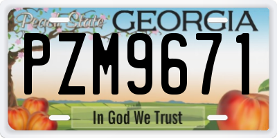 GA license plate PZM9671