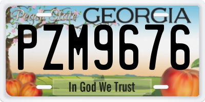 GA license plate PZM9676