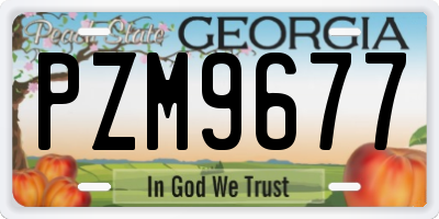 GA license plate PZM9677