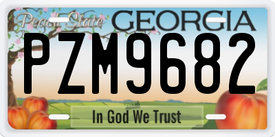 GA license plate PZM9682