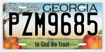GA license plate PZM9685