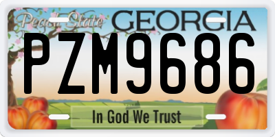 GA license plate PZM9686