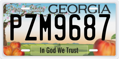 GA license plate PZM9687