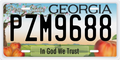 GA license plate PZM9688