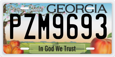 GA license plate PZM9693