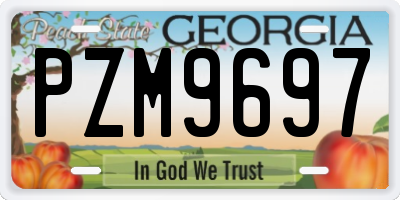 GA license plate PZM9697