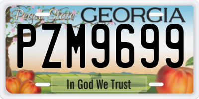 GA license plate PZM9699