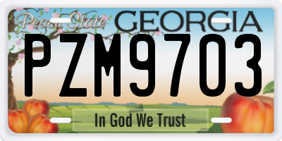GA license plate PZM9703