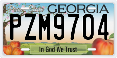 GA license plate PZM9704