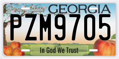 GA license plate PZM9705
