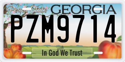 GA license plate PZM9714