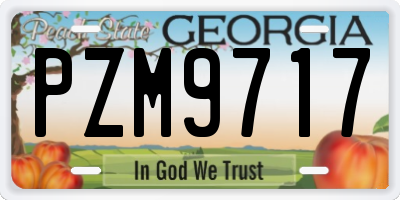 GA license plate PZM9717