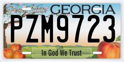 GA license plate PZM9723