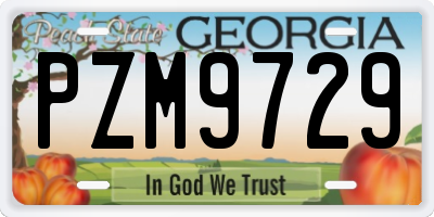 GA license plate PZM9729