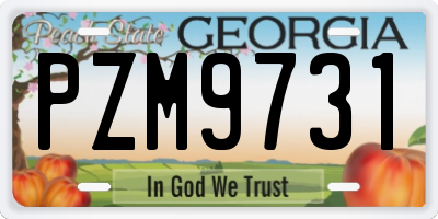 GA license plate PZM9731