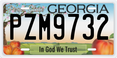 GA license plate PZM9732