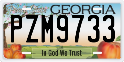 GA license plate PZM9733