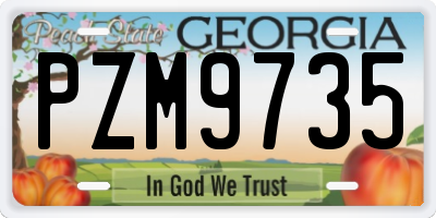 GA license plate PZM9735