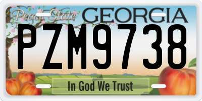 GA license plate PZM9738