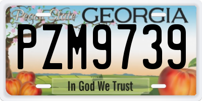 GA license plate PZM9739