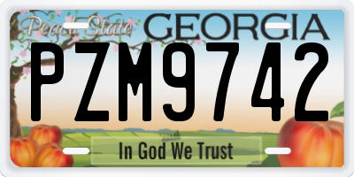 GA license plate PZM9742