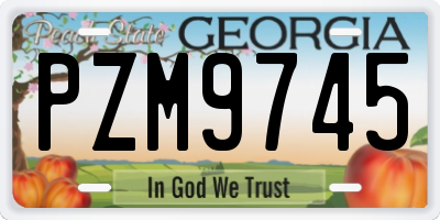GA license plate PZM9745