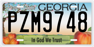 GA license plate PZM9748