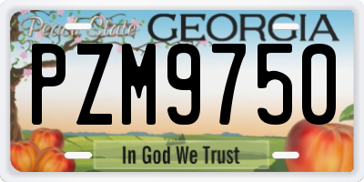 GA license plate PZM9750