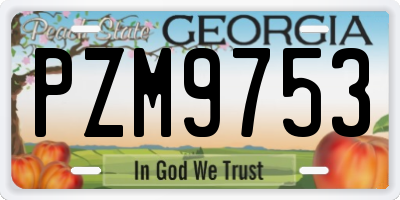 GA license plate PZM9753