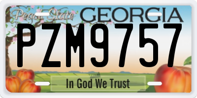 GA license plate PZM9757