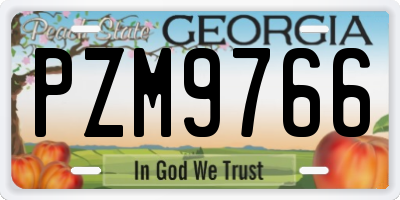GA license plate PZM9766