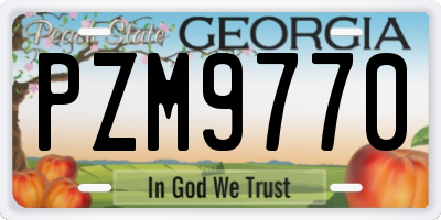 GA license plate PZM9770