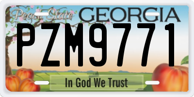GA license plate PZM9771