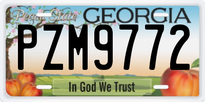 GA license plate PZM9772
