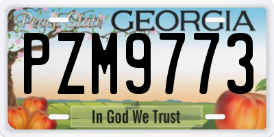 GA license plate PZM9773