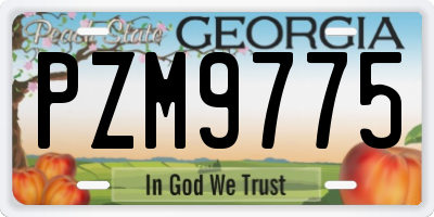 GA license plate PZM9775