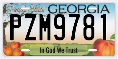 GA license plate PZM9781