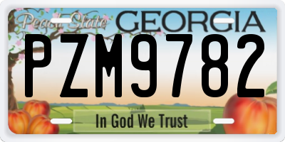 GA license plate PZM9782