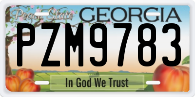 GA license plate PZM9783