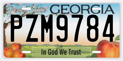 GA license plate PZM9784