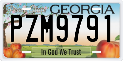 GA license plate PZM9791