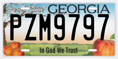 GA license plate PZM9797