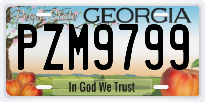 GA license plate PZM9799