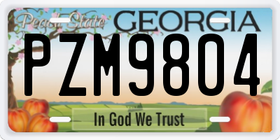 GA license plate PZM9804